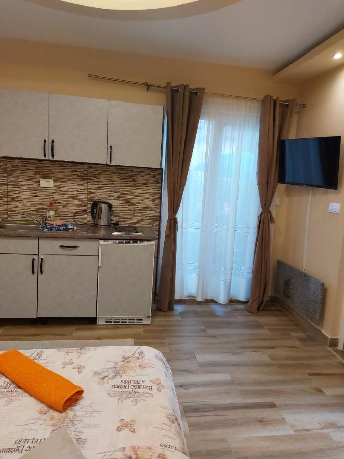Apartmani Knezevic 兹拉蒂博尔 外观 照片