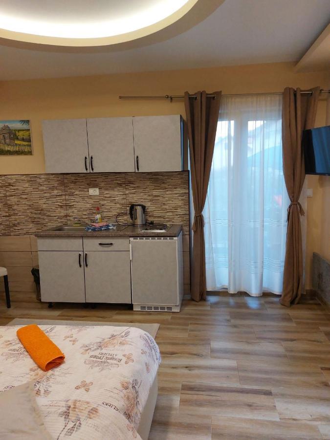 Apartmani Knezevic 兹拉蒂博尔 外观 照片