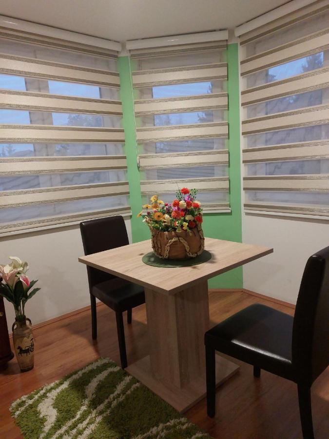 Apartmani Knezevic 兹拉蒂博尔 外观 照片
