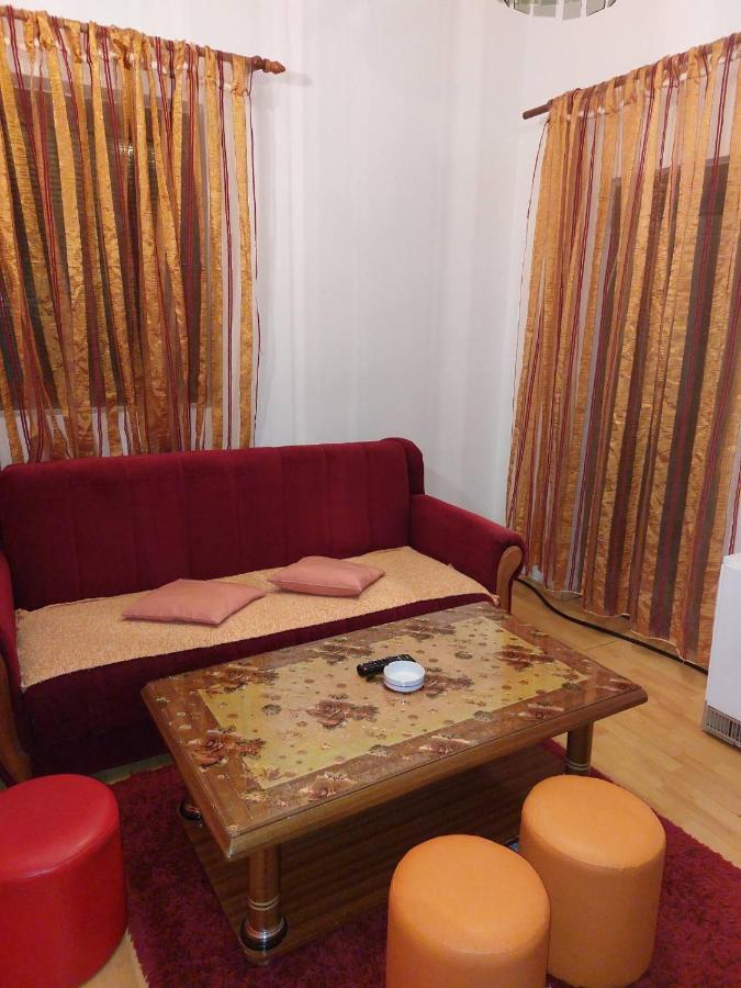 Apartmani Knezevic 兹拉蒂博尔 外观 照片