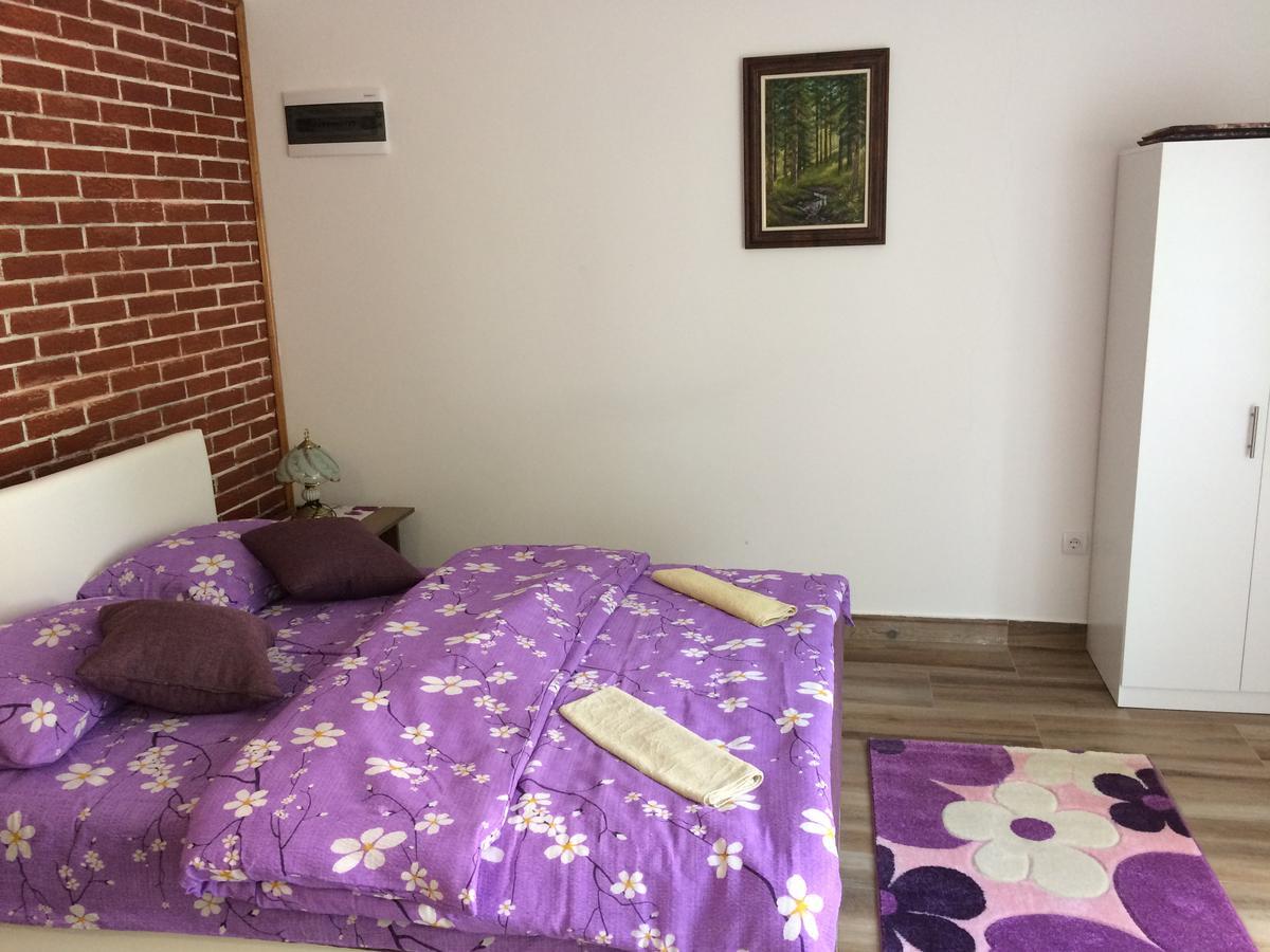 Apartmani Knezevic 兹拉蒂博尔 外观 照片