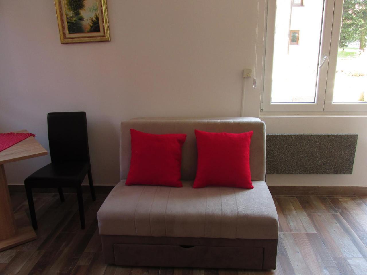 Apartmani Knezevic 兹拉蒂博尔 外观 照片
